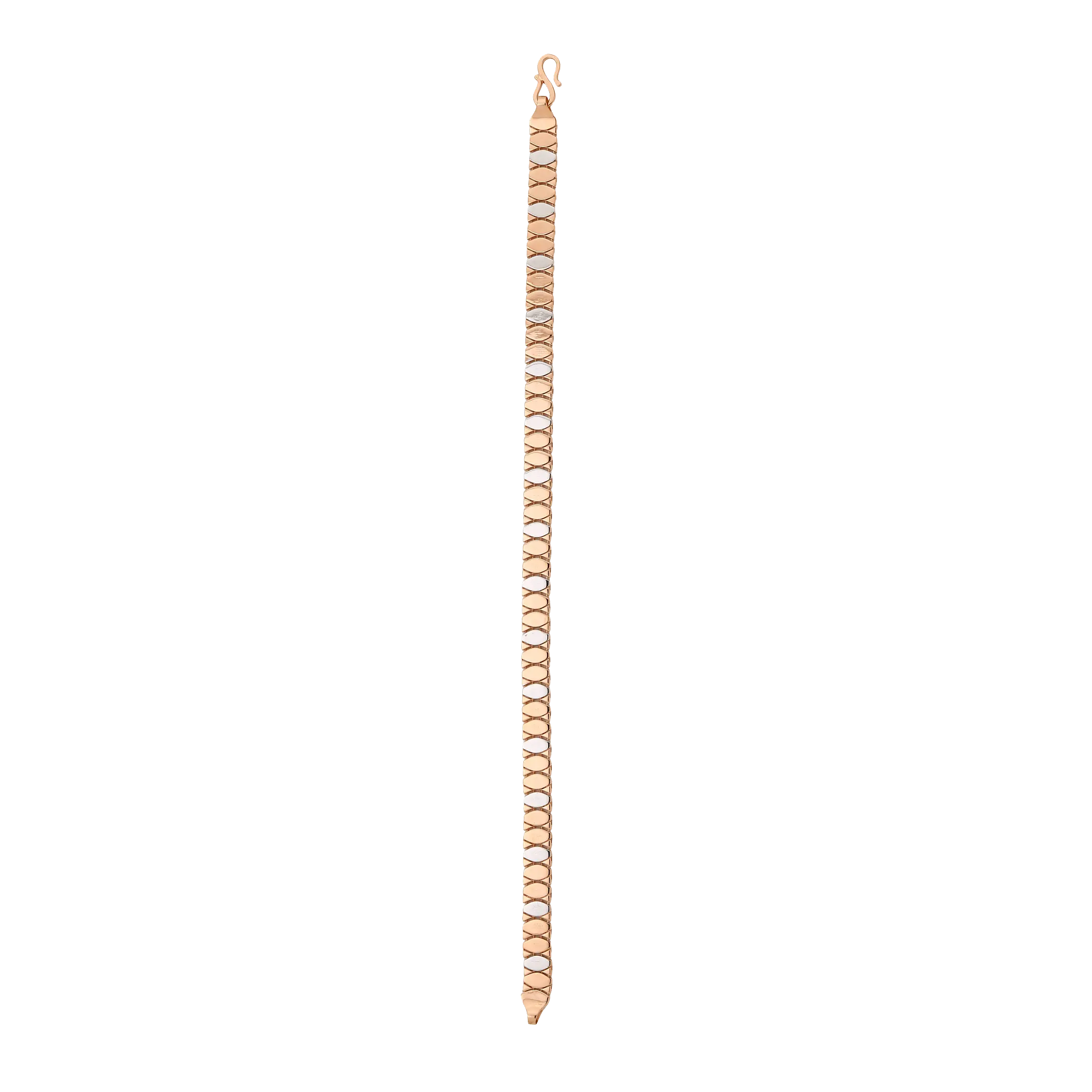 ZB46