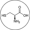 L-Cysteine