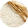 Oryza Sativa Rice Extract (Gosulin® Rice)¹