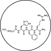 Palmitoyl Teripeptides + Acetyl Hexapeptide-8