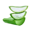 Aloe Vera Extract