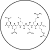 Acetyl Hexapeptide-8
