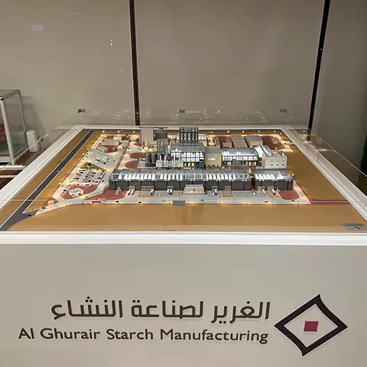 Scale Model