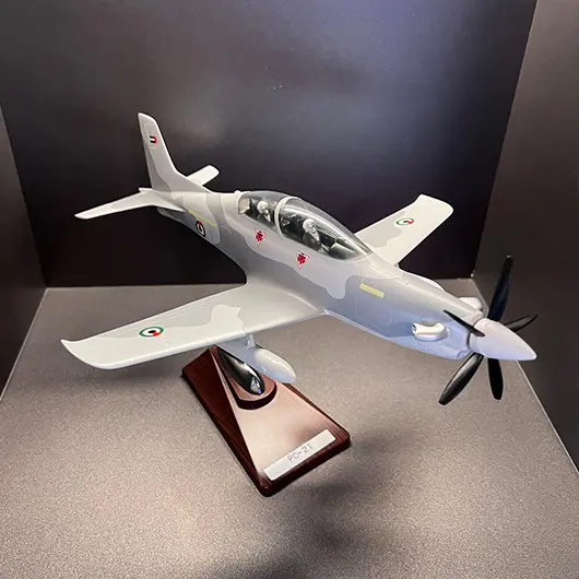 Scale Model