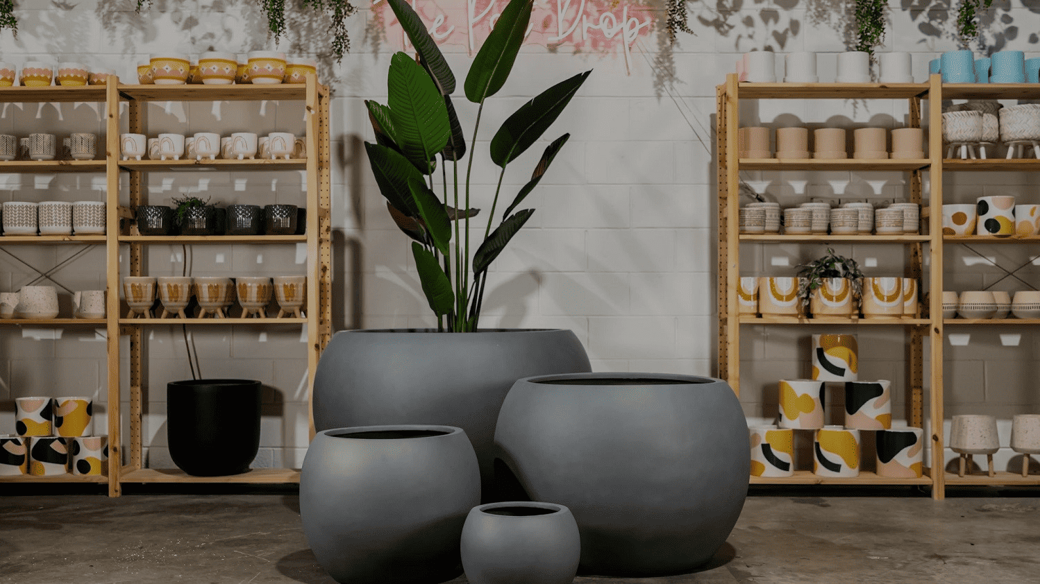 Pots, Planters & Accessories
