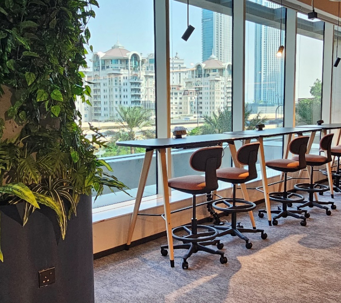 Landscaping Services in Dubai