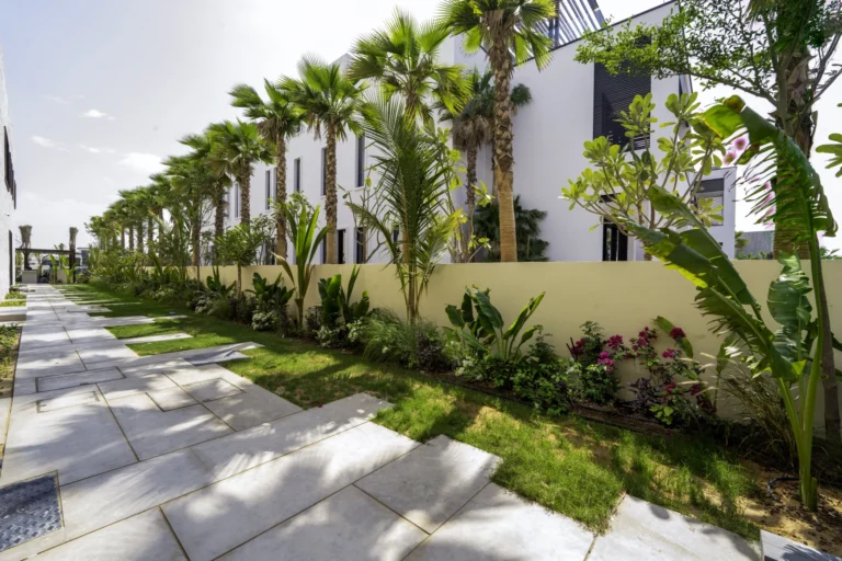 DSC01602-HDR-Edit+copy