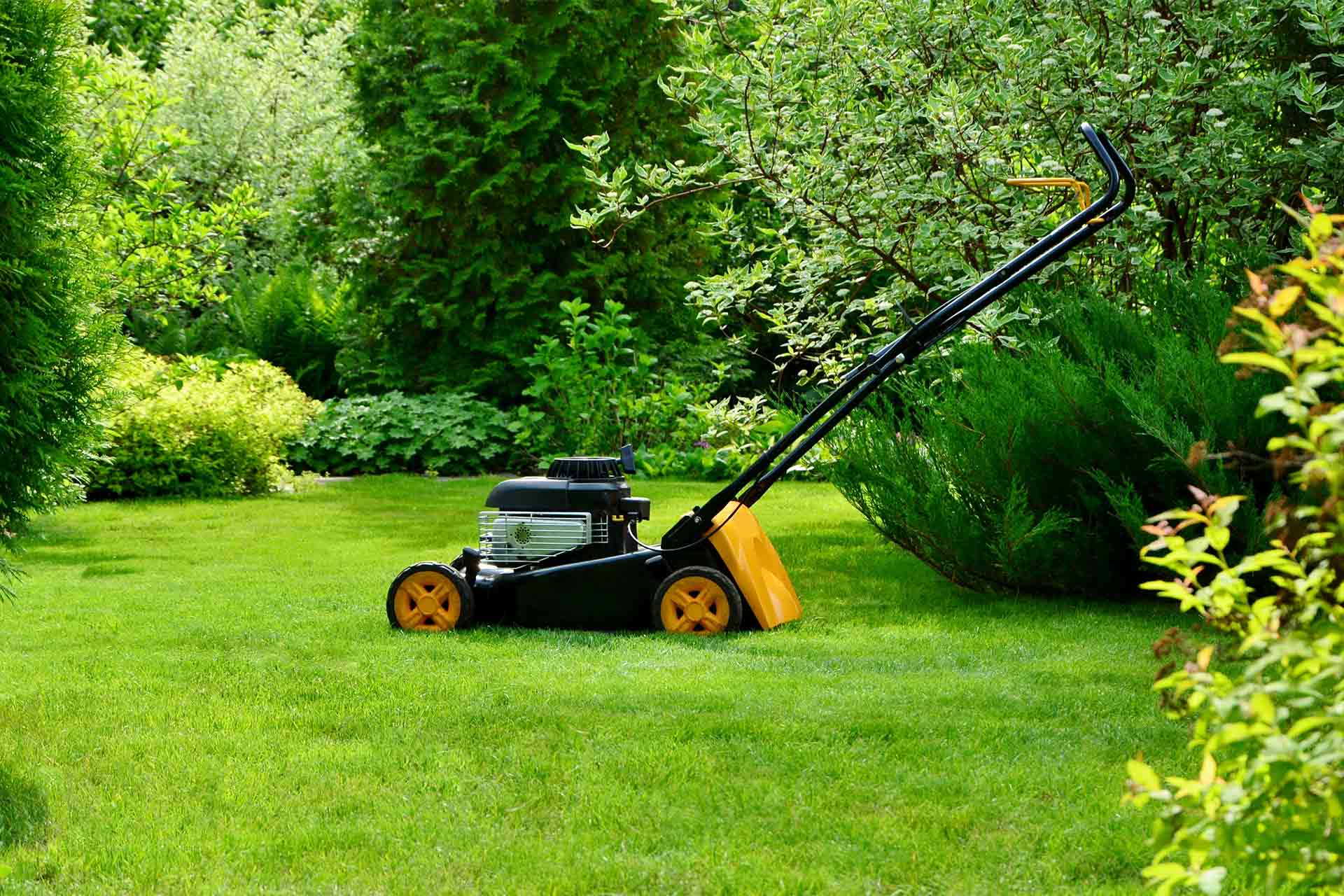 Garden Maintenance in UAE