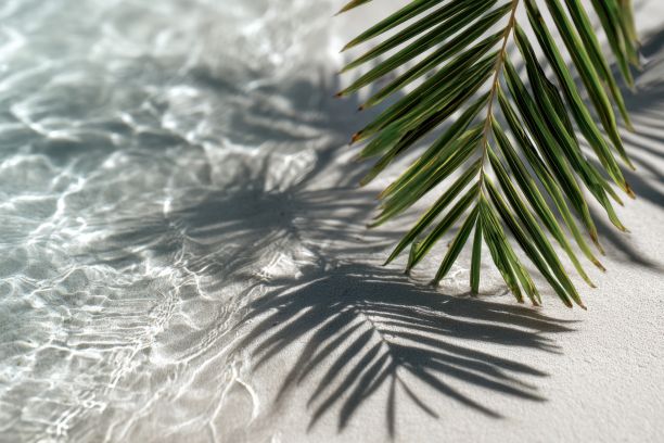 Leaf Clearing and Debris Removal​