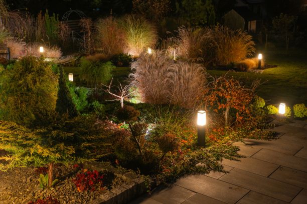 Outdoor Lighting & Aesthetic Enhancements