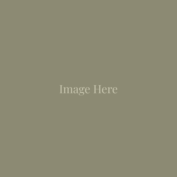 No Image Found